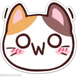 Sticker from the "Meong the Meme Cat" sticker pack