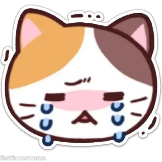 Sticker from the "Meong the Meme Cat" sticker pack