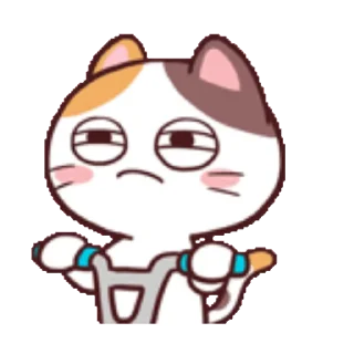 Sticker from the "Meong the Meme Cat" sticker pack