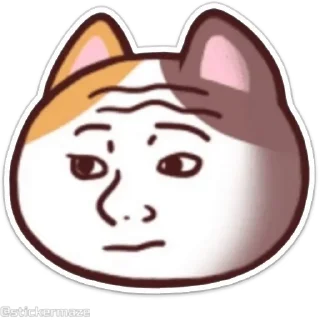 Sticker from the "Meong the Meme Cat" sticker pack