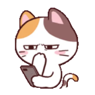 Sticker from the "Meong the Meme Cat" sticker pack