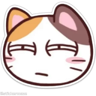 Sticker from the "Meong the Meme Cat" sticker pack