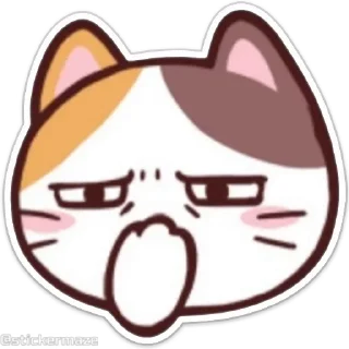 Sticker from the "Meong the Meme Cat" sticker pack