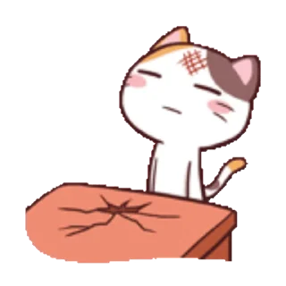 Sticker from the "Meong the Meme Cat" sticker pack