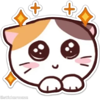 Sticker from the "Meong the Meme Cat" sticker pack