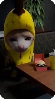 Стикер из набора "Banana Cat"