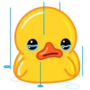 Sticker from the "Duck" sticker pack