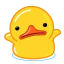 Sticker from the "Duck" sticker pack