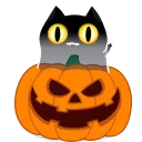 Sticker from the "Shadow Kitty" sticker pack