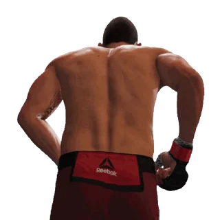 Sticker from the "UFC" sticker pack