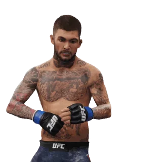 Стикер из набора "UFC"