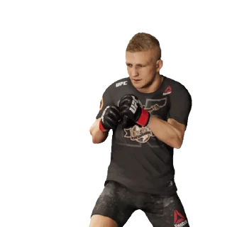 Стикер из набора "UFC"