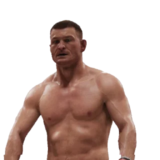 Стикер из набора "UFC"