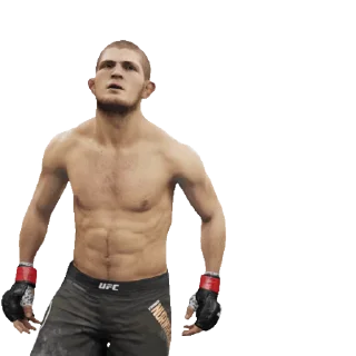 Стикер из набора "UFC"