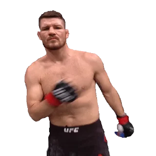 Стикер из набора "UFC"