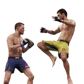 Sticker from the "UFC" sticker pack