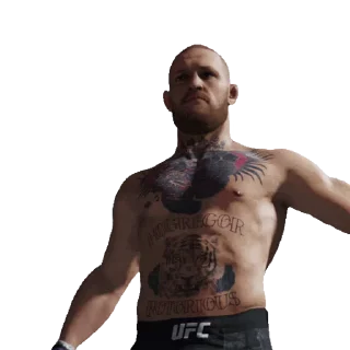 Стикер из набора "UFC"