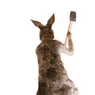 Sticker from the "Kangaroo for" sticker pack