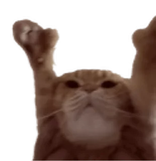 Sticker from the "Twitch 7TV | Cats" sticker pack