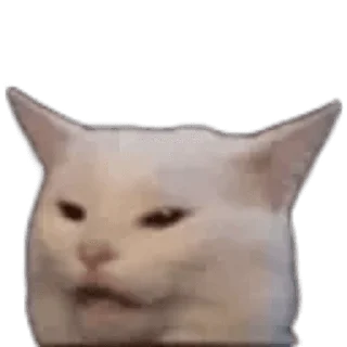 Sticker from the "Twitch 7TV | Cats" sticker pack