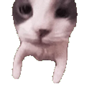 Sticker from the "Twitch 7TV | Cats" sticker pack