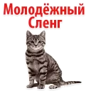 Telegram sticker pack "Молодёжный сленг"