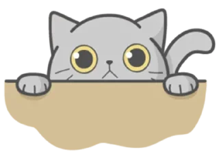 Telegram sticker pack "Stickers with Cat"