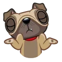 Sticker from the "Fred the Pug" sticker pack