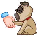 Sticker from the "Fred the Pug" sticker pack