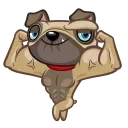 Sticker from the "Fred the Pug" sticker pack