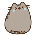 Sticker from the "Animated Pusheen 2" sticker pack