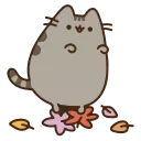 Стикер из набора "Animated Pusheen 2"