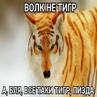 Telegram sticker pack "Волчья Стая"