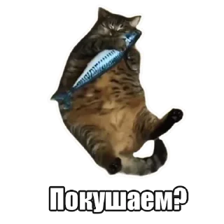 Telegram sticker pack "Лампово о стикерах"