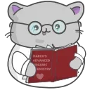 Sticker from the "Clever Cat" sticker pack