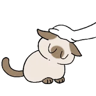 Sticker from the "Siamese Cat Live" sticker pack