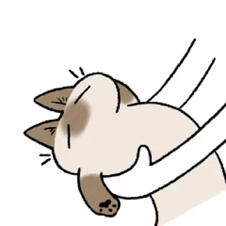 Sticker from the "Siamese Cat Live" sticker pack