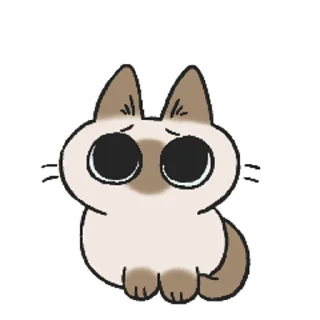 Sticker from the "Siamese Cat Live" sticker pack