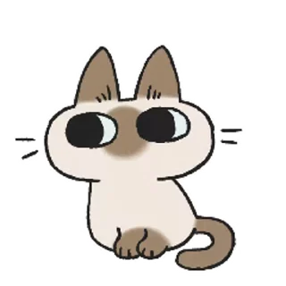 Sticker from the "Siamese Cat Live" sticker pack