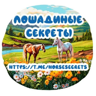 Telegram sticker pack "Horse Secrets"