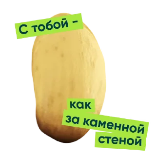 Sticker from the "Приколдукты от Vprok.ru" sticker pack