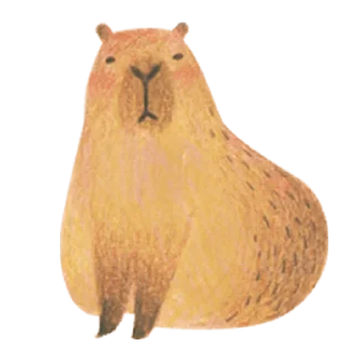 Telegram sticker pack "Mr. Capybara"